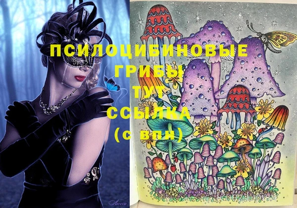крисы Новочеркасск