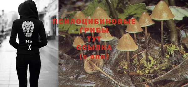 мяу мяу мука Магадан