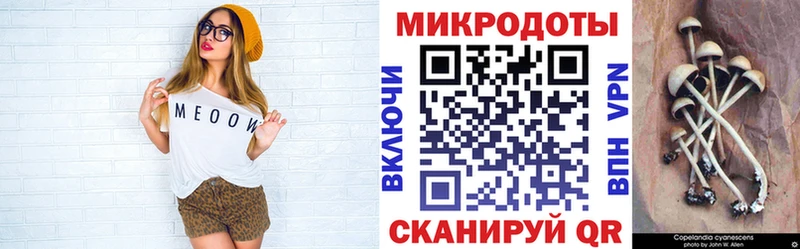 наркотики  Гаврилов Посад  Галлюциногенные грибы Psilocybine cubensis 
