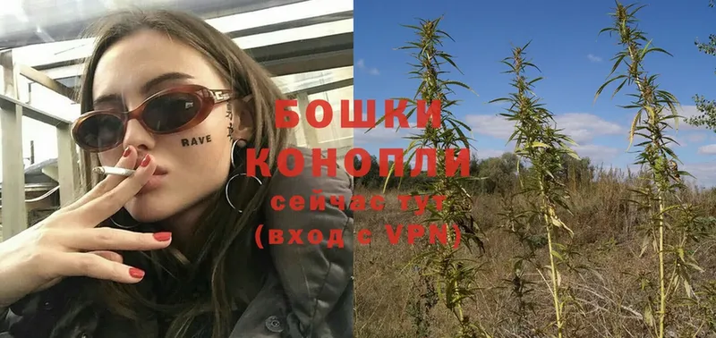 Конопля White Widow  Гаврилов Посад 